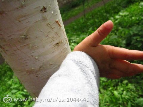 Отчет о второй неделе марафона Летний день
