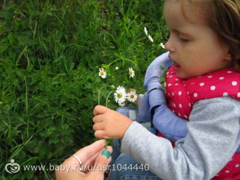 Отчет о второй неделе марафона Летний день