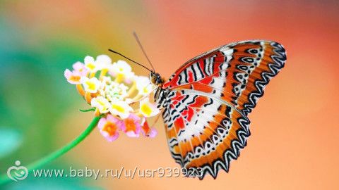 Стоит ли такое делать? Или плохо получается у меня?