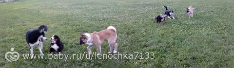 Наш Патрюхин))))