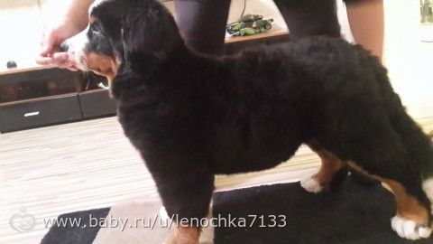 Наш Патрюхин))))