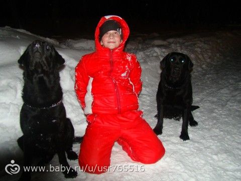 Лабродневник. История одной собаки)