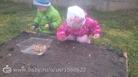 Наша радужная весна!