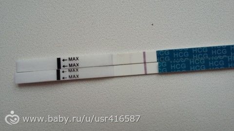 Мое 2 эко...