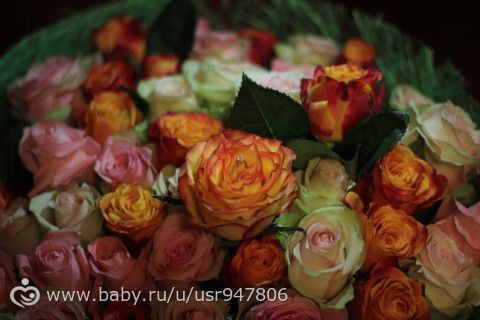 Дневник развития Есении по месяцам. 11-12 месяцев. Май. Много фото и букв.