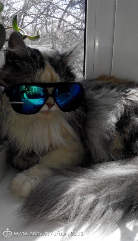 А я всё шью)))