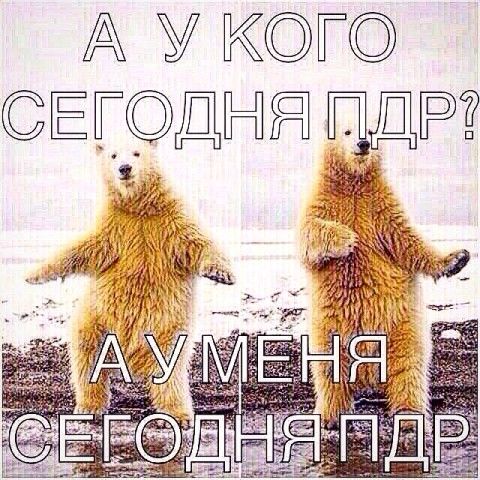 ну вот и наступило 29 октября ну вот и наступило 29 октября