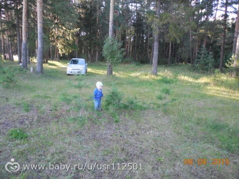 Поездка на природу).