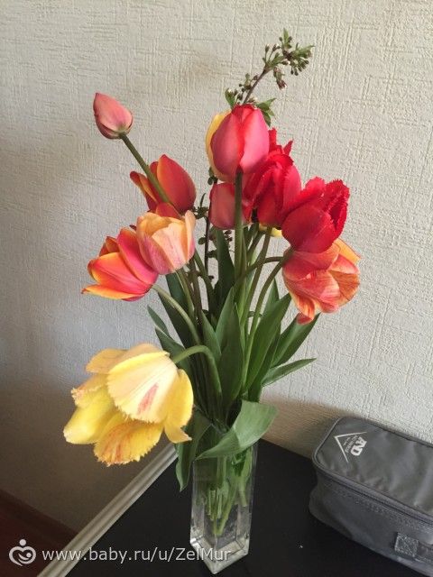 Обожаю своего мужа)))