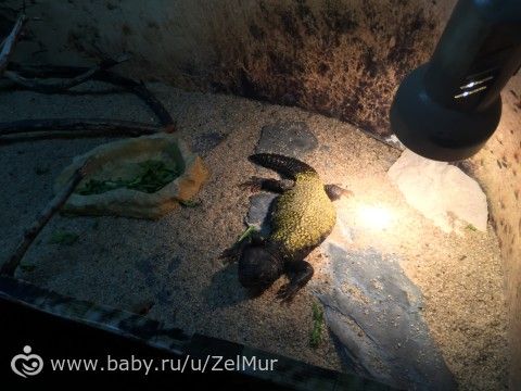 Сегодня нашей Вареньке исполнилось целых 2 годика!!!)))