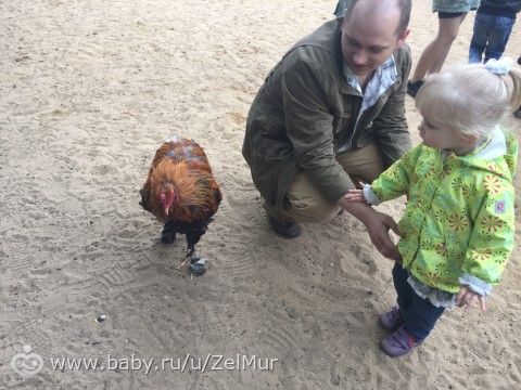 Сегодня нашей Вареньке исполнилось целых 2 годика!!!)))
