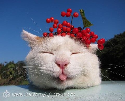 Я собой довольна!