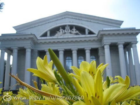 Давненько я вас не радовала цветами :)