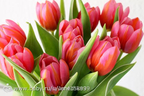 Фотопроект Календарь. Март. Отзывы кураторов. Группа 2