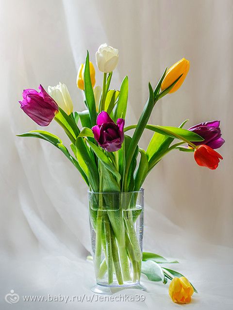 Фотопроект Календарь. Март. Отзывы кураторов. Группа 2