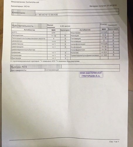 Бак посев мочи при беременности: расшифровка, как собирать 98 Бак посев мочи при беременности: расшифровка, как собирать 61