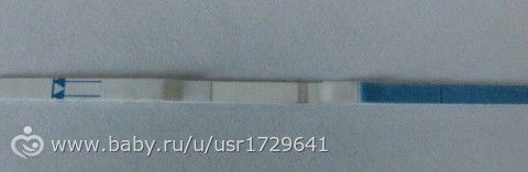 10 ДПО тест