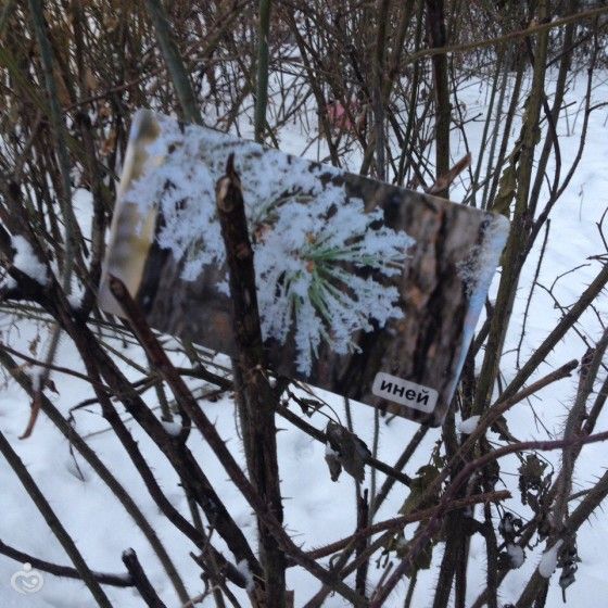 Встретили зиму