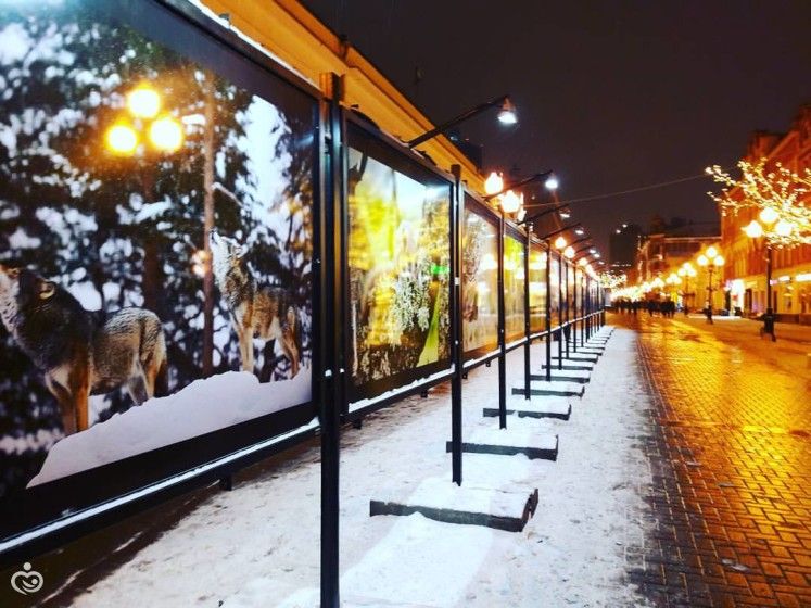 Новости и фото новогодней Москвы