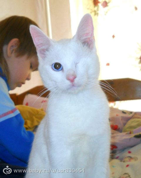 Мой любимый одноглазик-пиратик.Сегодня сфотались