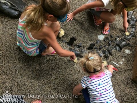 Детский музей. Прогулки с динозаврами.