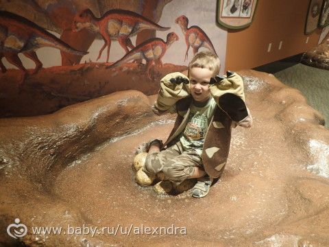 Детский музей. Прогулки с динозаврами.