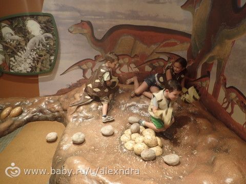 Детский музей. Прогулки с динозаврами.