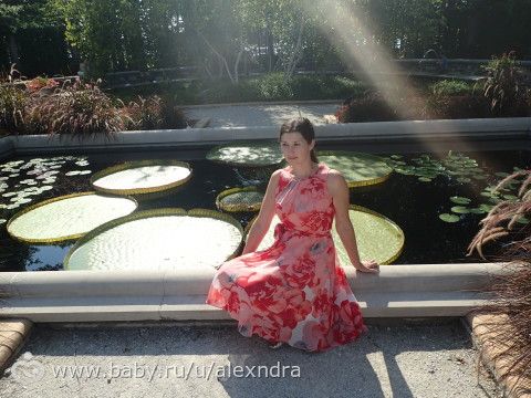 Английский садик и бабочки. Потрясающе красивое место и много фотографий)