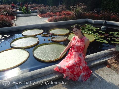 Английский садик и бабочки. Потрясающе красивое место и много фотографий)