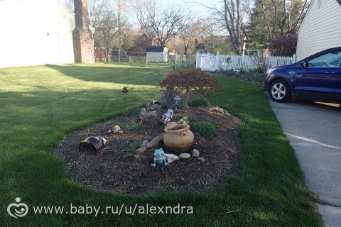 Американские дворики и прогулки с собакой.