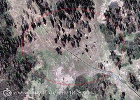 Челябинский геоглиф в виде лося - размер от рогов до копыт — 275 метров. ) контуры животного различимы со спутника