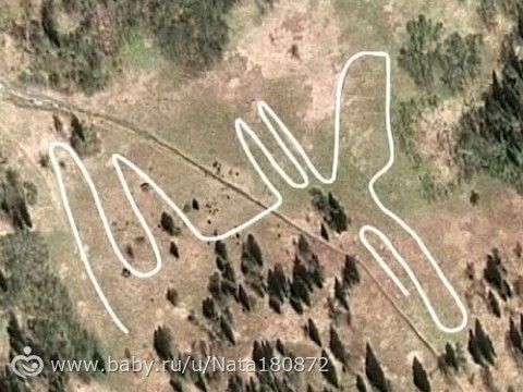 Челябинский геоглиф в виде лося - размер от рогов до копыт — 275 метров. ) контуры животного различимы со спутника