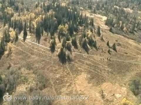 Челябинский геоглиф в виде лося - размер от рогов до копыт — 275 метров. ) контуры животного различимы со спутника
