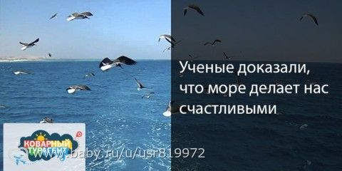 Ученые доказали, что море делает нас счастливыми