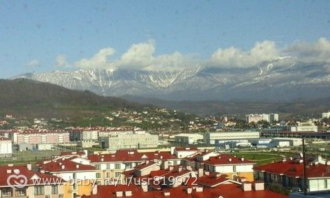 Сочи на 4 ночи , февраль 2016