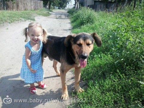Я считаю, что кормить надо до самоотлучения.