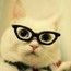 Котенок Котенок