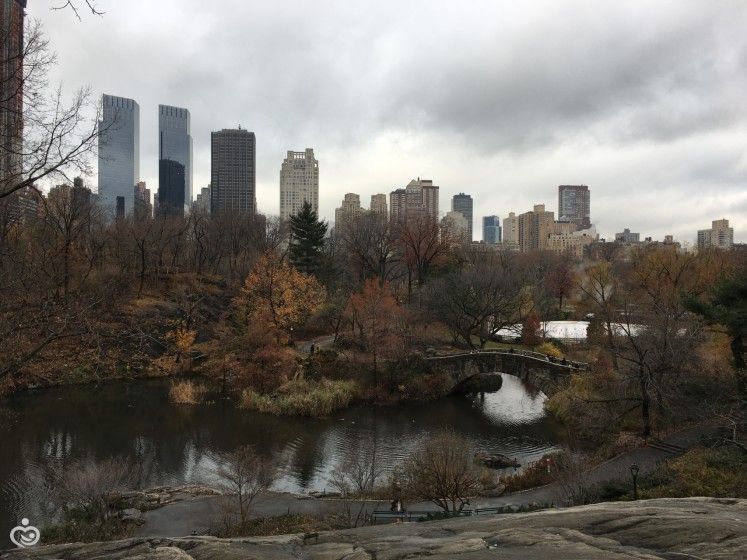 🇺🇸 Каникулы 3-4 день (NY и перелёт NY-Orlando)