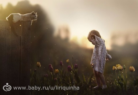 Чудесные фотографии