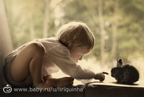 Чудесные фотографии