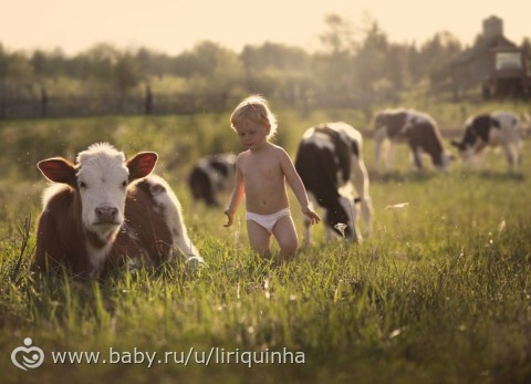 Чудесные фотографии
