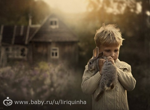 Чудесные фотографии