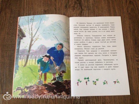 Новые книжки, обзор (часть 4)