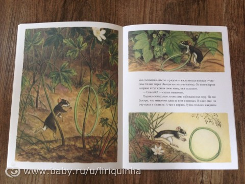 Новые книжки, обзор (часть 5)