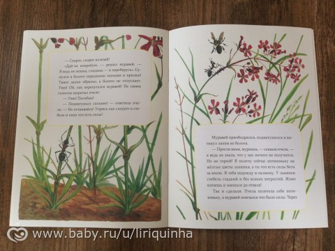 Новые книжки, обзор (часть 5)