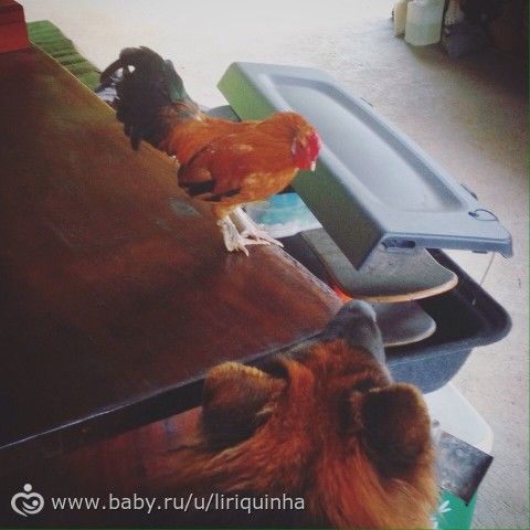 Да про все подряд, как всегда. Ерунды пост.