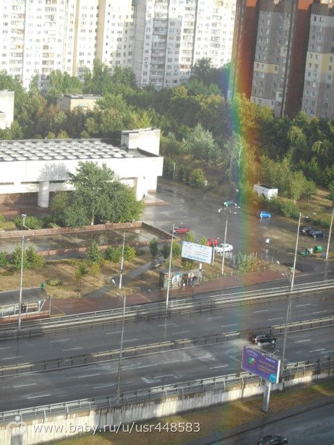 Только что видела чудо, прям у нас за окошком!