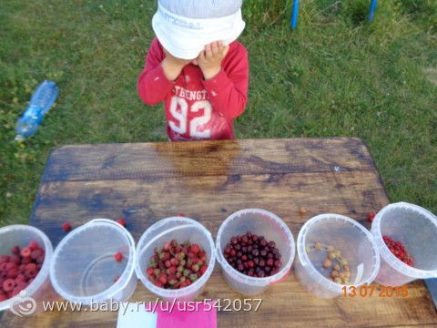 Игры с ягодами
