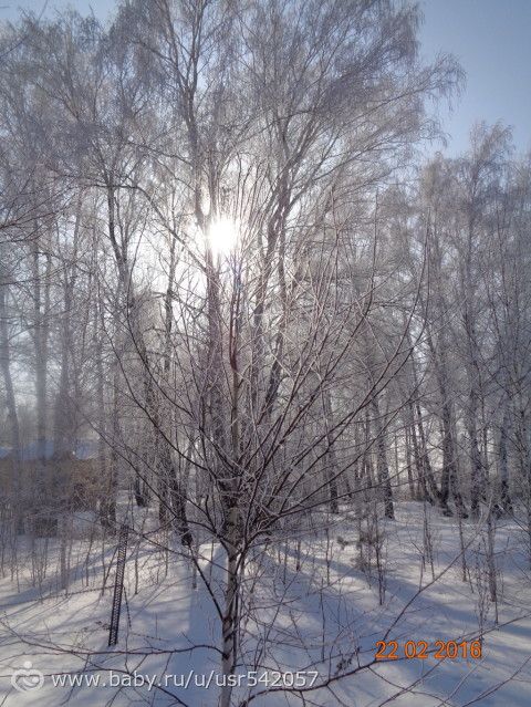 Последняя неделя календарной зимы
