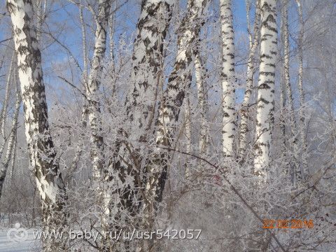 Последняя неделя календарной зимы